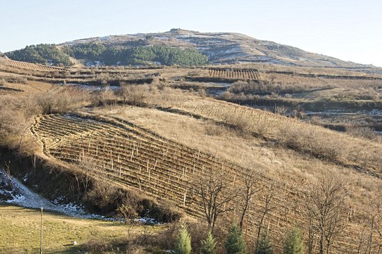 Région viticole de Tikves