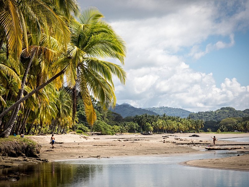 Tendance absolue : Tamarindo