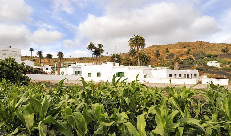 Haria et la vallée de Malpaso 3