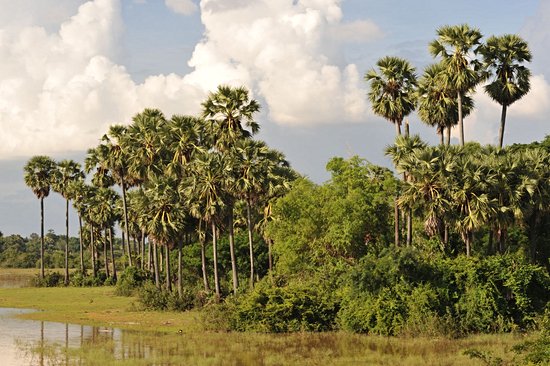 Kampong Thom