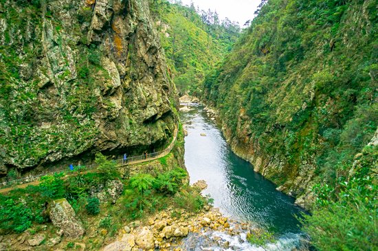 Gorges de Karangahake