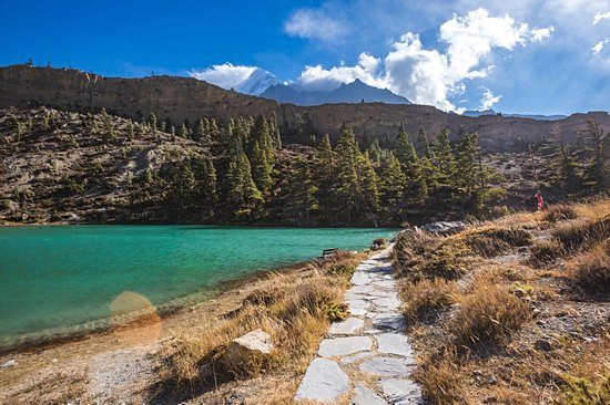 Trek dans les Annapurnas