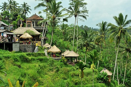 Ubud (Bali)