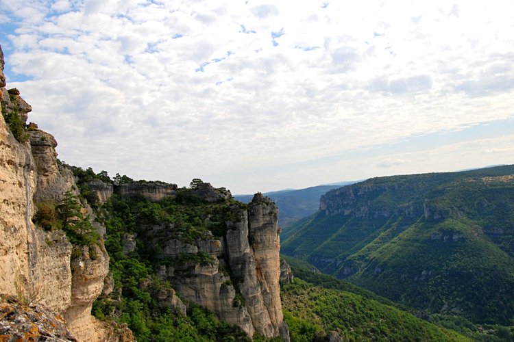 Les gorges de la Dourbie