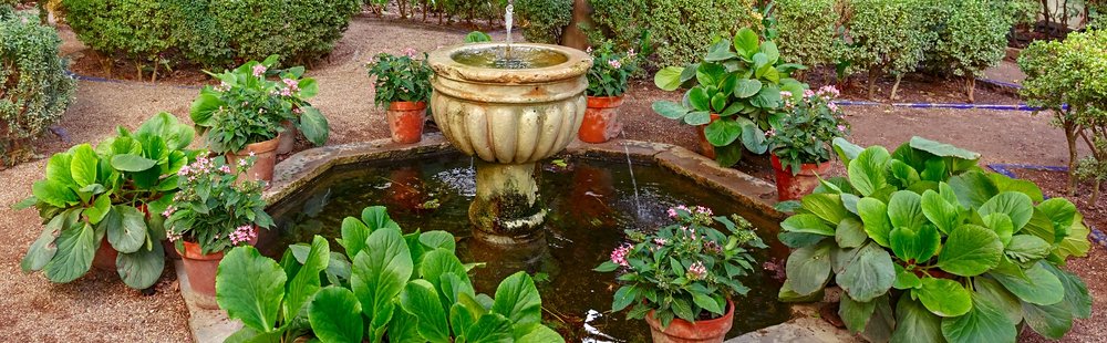 Jardin botanique royal de Cordoue