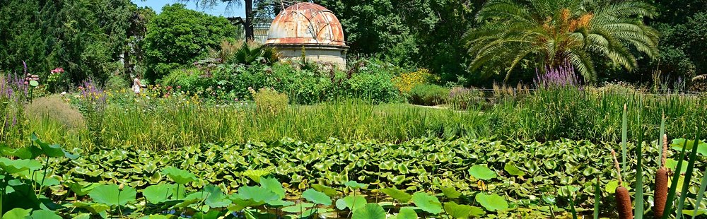 Le Jardin des Plantes