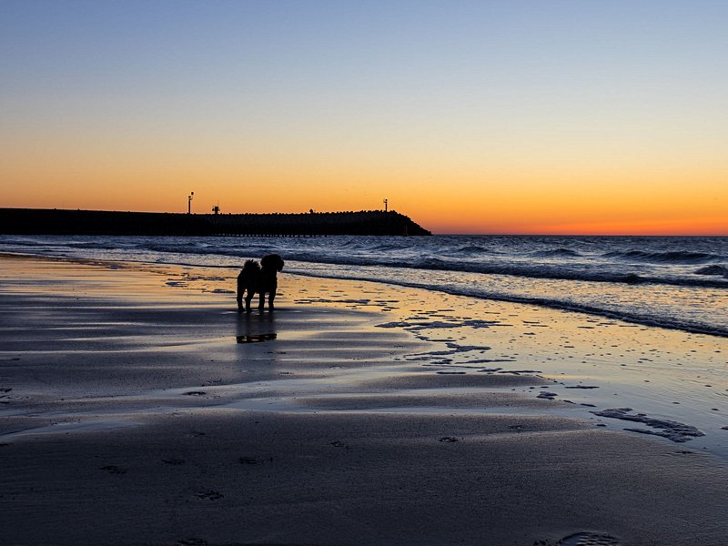 Les plages de Zélande