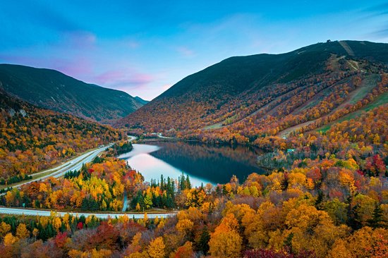White Mountains national forest