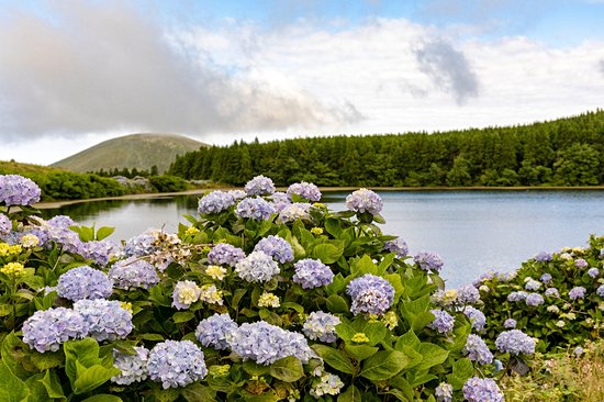 L'île de Flores