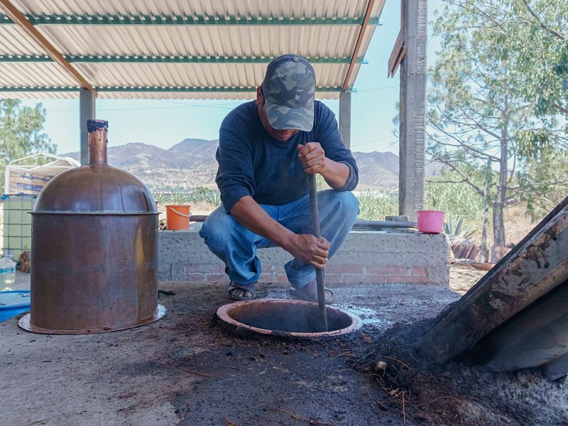 Visiter une palenque