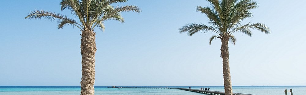 Baie de Soma, Safaga