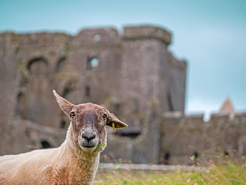 Rock of Cashel