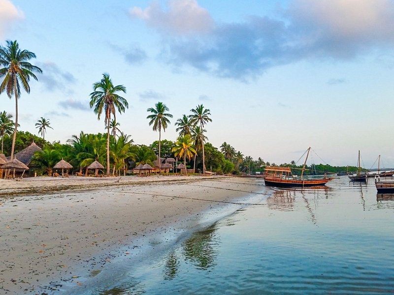 Les plages de Mafia Island