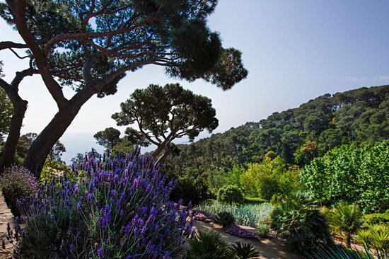 Jardin botanique du Cap Roig