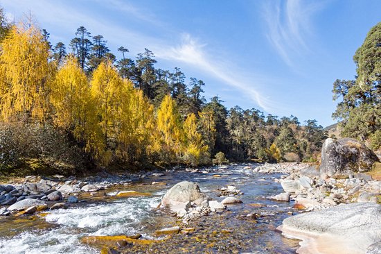 Sakteng Wildlife Sanctuary