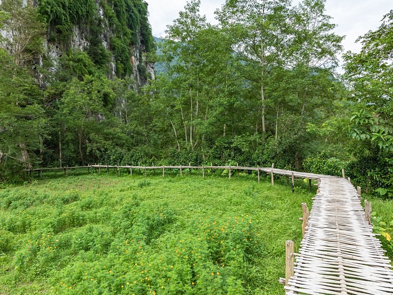 Grottes de Pha Tok