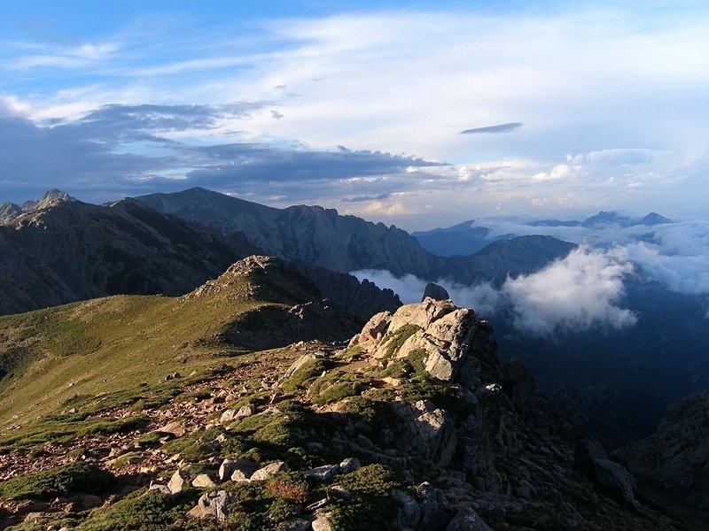 GR20