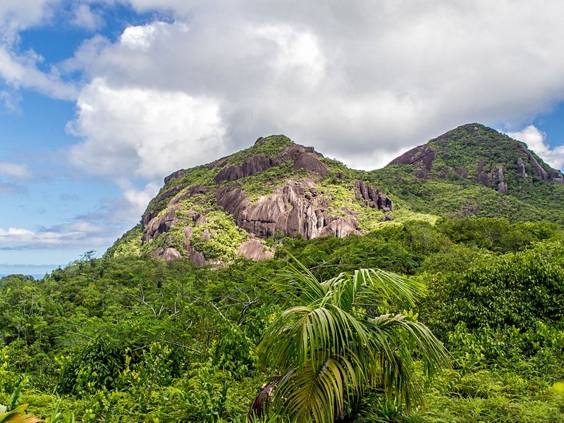 Morne Seychellois