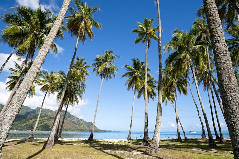 plage Plage Publique de Ta'ahiamanu