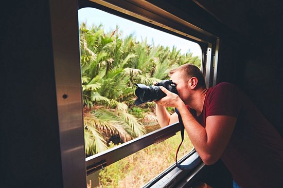 Train de la jungle