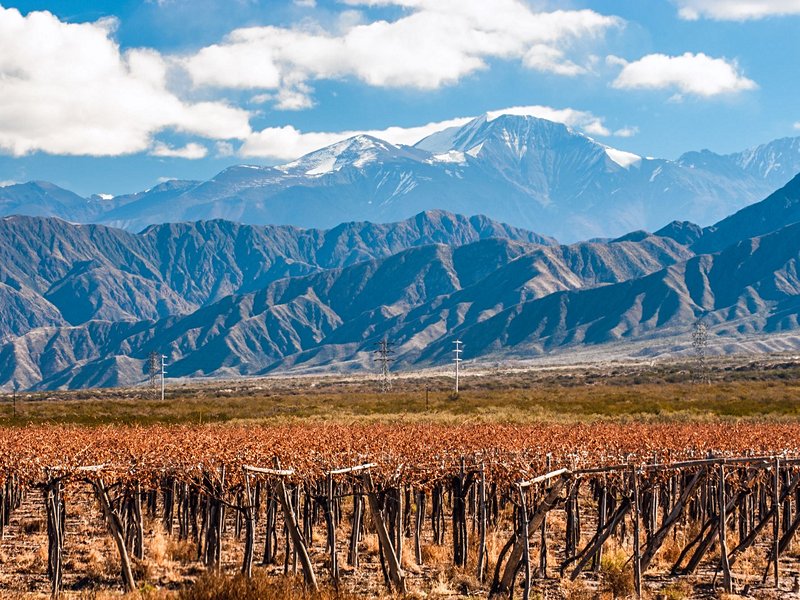 Mendoza