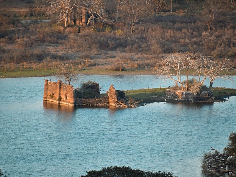 Ranthambore