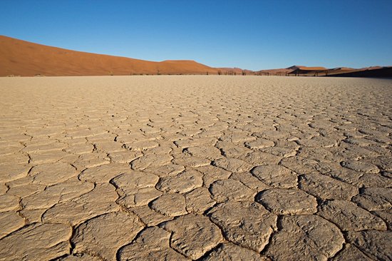 Dead Vlei