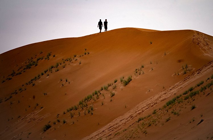 Désert d’Oman, Sharqiya Sands 2
