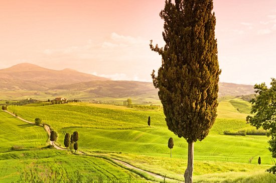 Val d'Orcia