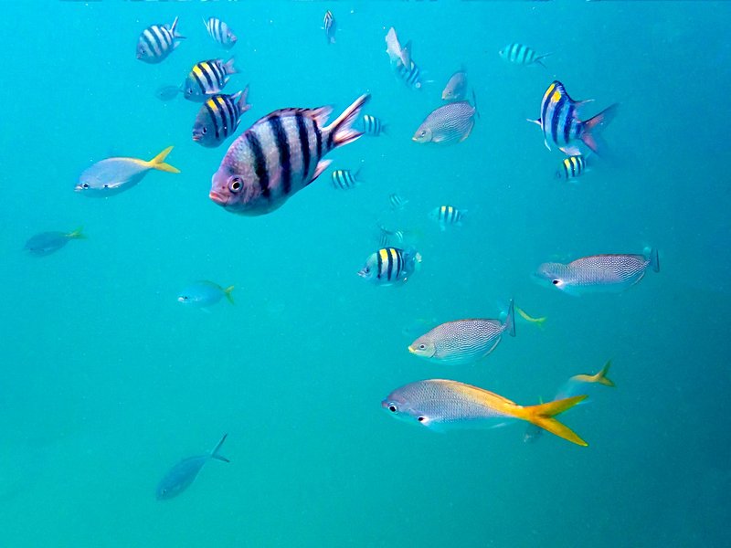 Les plages de Koh Kut