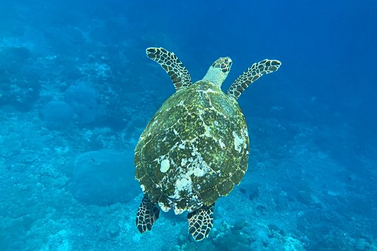 Nusa Penida