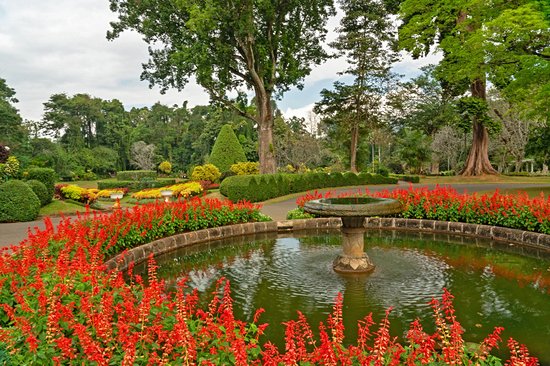 Jardin botanique de Peradeniya