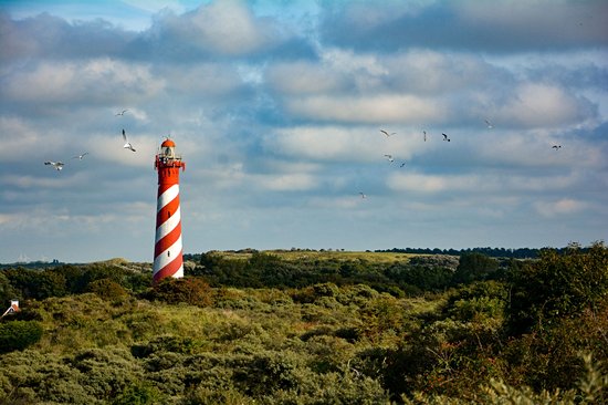 Haamstede