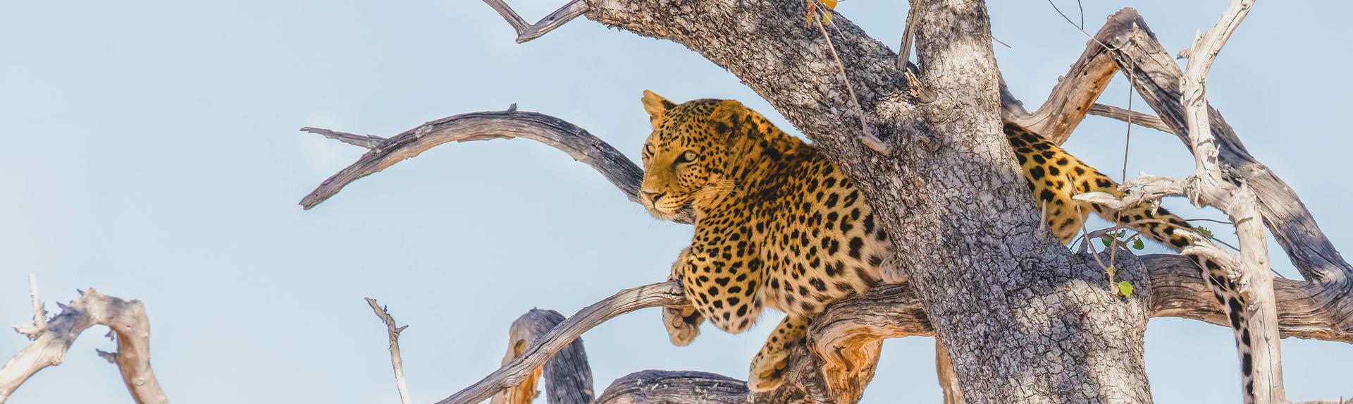 Namibie