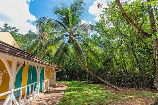 Trois Îlets et le sud Caraïbes