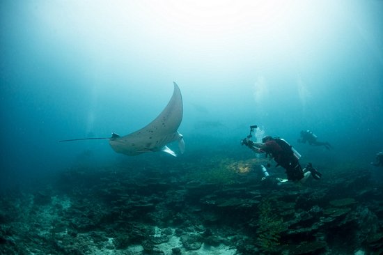 Ari Atoll