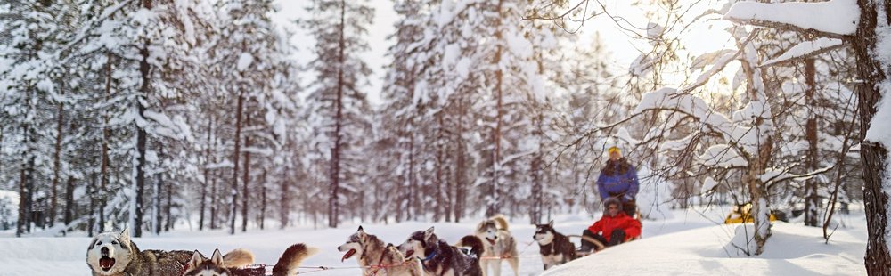 Faire du chien de traîneau et être musher d’un jour