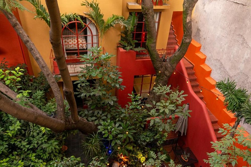 The Red Tree House