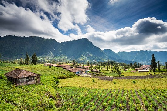 Parc national de Bromo-Tengger-Semeru