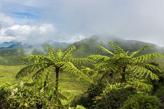 Le volcan de la Soufrière