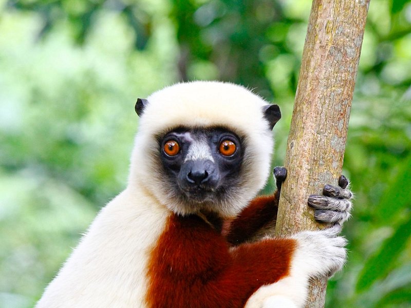 La presqu'île d'Anjajavy