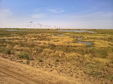 Parc national du Diawling