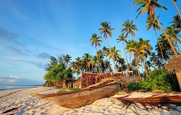 Palmiers sur une plage tropicale