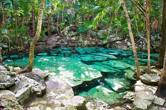 Cenote Azul, en direction de Tulum