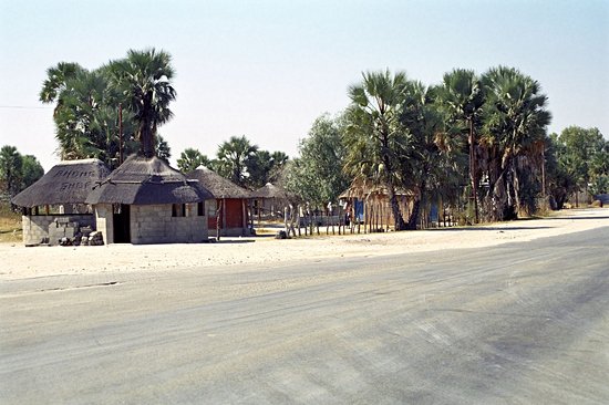 Maun