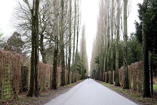 Assistens Kirkegård