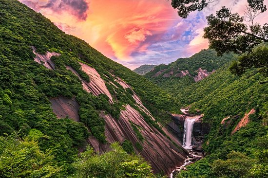 Île de Yakushima