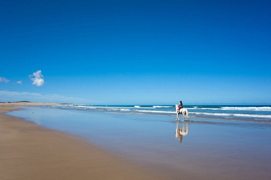La plage d’Essaouira