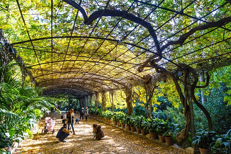 Jardin botanique historique La Concepción