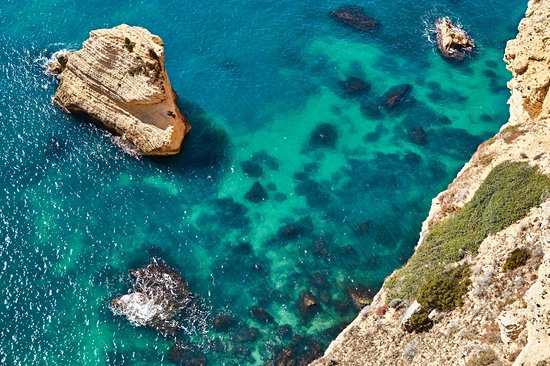 Barbate